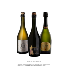 SET BURBUJAS MÁGICAS